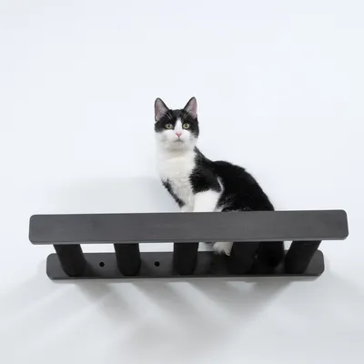 Schwarz-weisse Katze sitzt auf einer schwarzen Wandhalterung mit mehreren vertikalen Stützen. Produkt zur Montage an der Wand sichtbar.