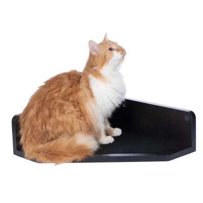 Mensola angolare in legno nero con un gatto sopra, adatta come superficie per sdraiarsi o come ripiano.