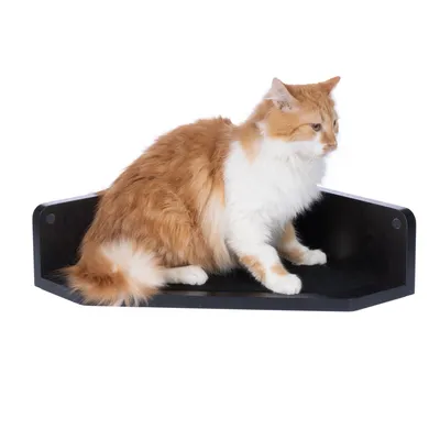 Mensola per gatti in legno scuro con un gatto arancione e bianco sopra. Mensola con superficie imbottita e angoli arrotondati.