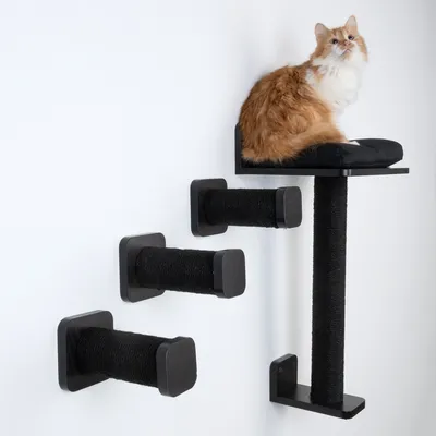 Albero tiragraffi da parete con tre gradini in sisal neri e una piattaforma. Gatto rosso seduto sulla piattaforma superiore imbottita.
