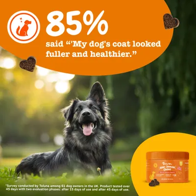 Zesty Paws Allergy & Immunity Chews lazac