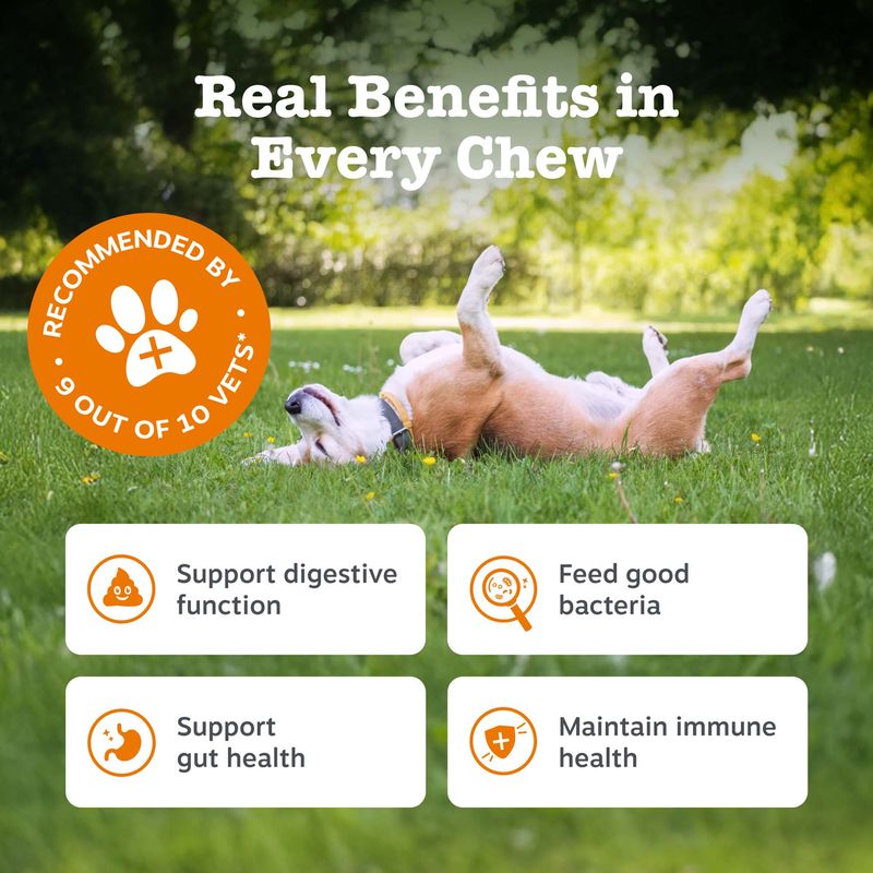 Zesty Paws Probiotic Chews gresskar