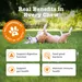 Zesty Paws Probiotic Chews gresskar