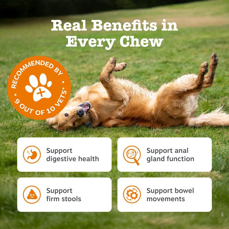 Zesty Paws Scoot Away Anal Gland Support Chews