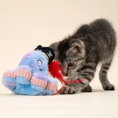 TIAKI Elektronisches Katzenspielzeug Tintenfisch-Pirat