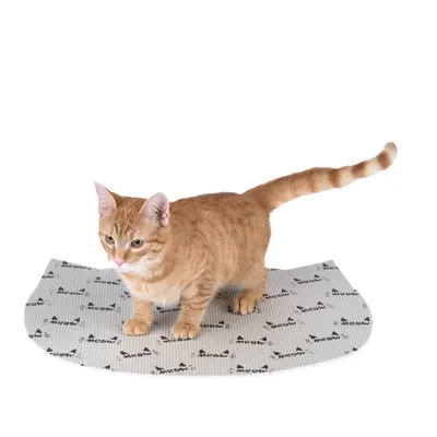 Pisică roșie stă pe un covoraș gri cu inscripția neagră „Meow”.