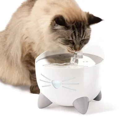 Katze trinkt aus einem weissen Trinkbrunnen mit Katzendesign und fliessendem Wasser.