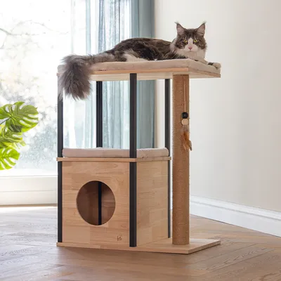 Kratzbaum aus Holz mit zwei Liegeflächen, Höhle mit rundem Eingang und Sisal-Kratzsäule. Katze liegt auf oberer Fläche.