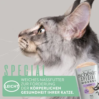 Schesir Special Mousse Light, weiches Nassfutter zur Förderung der körperlichen Gesundheit Ihrer Katze. Niedriger Kaloriengehalt, Geschmacksrichtung Pollo Chicken.