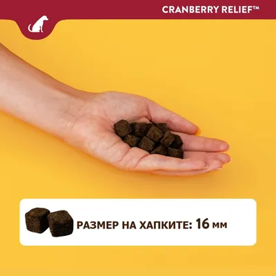 Cranberry Relief. Кубчета лакомства в ръка, размер на хапките: 16 мм, изписано в долната част на изображението.