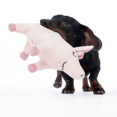 Hund leger med et lyserødt plysdyr i form af en gris. Legetøjet har broderede øjne og ører.