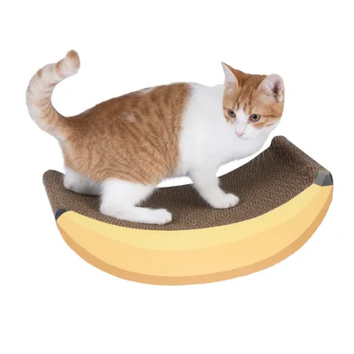 Chat roux et blanc debout sur un griffoir en carton en forme de banane, surface texturée visible, fond blanc uni.