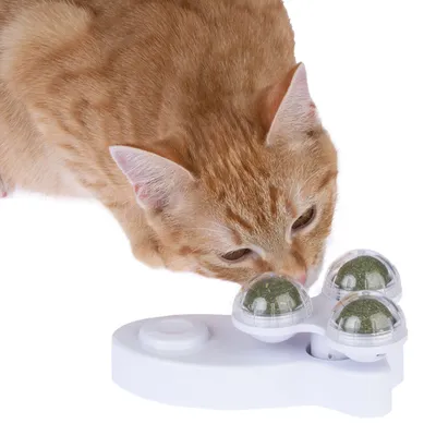 Chat roux reniflant un jouet interactif blanc avec trois boules vertes sous cloche transparente, posé sur une surface blanche. Aucun texte ou marque visible.