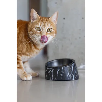 Designed by Lotte Vita melamin macskatál, fekete