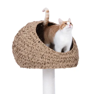 Arbre à chat avec niche en osier tressé, chat roux et blanc debout à l’intérieur. Support recouvert de corde blanche visible sous la niche.
