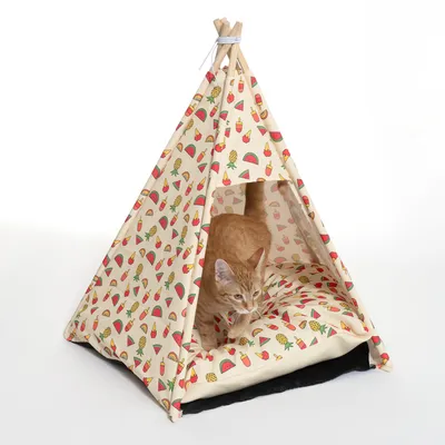 Tipi pour chat en tissu imprimé fruits (pastèques, ananas, glaces), structure en bois, coussin assorti à l’intérieur, chat roux à l’intérieur du tipi.