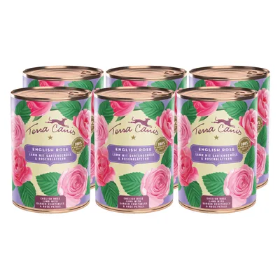 Lot de 6 boîtes Terra Canis English Rose, texte visible : Lamm mit Gartengemüse & Rosenblättern, 100 % natural, décorées de roses et feuilles vertes.