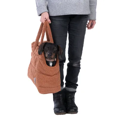 Petit chien noir et marron transporté dans un sac de transport en tissu marron, porté à la main par une personne habillée en gris et noir, vue de face jusqu’aux genoux.