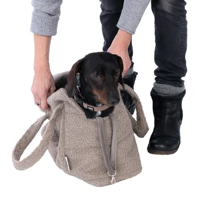 Petit chien noir et marron assis dans un sac de transport en tissu beige, tenu par une personne portant un pull gris et des bottes noires. Laisse grise attachée au collier du chien.