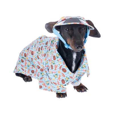 Hund iført blåt sommeroutfit med farverigt mønster og matchende skyggehat. Outfit viser strandmotiver som parasoller, krabber og blomster.