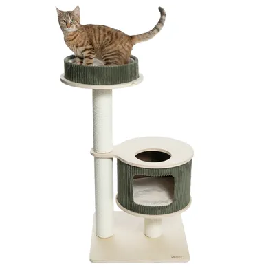 Árbol rascador de dos niveles, con funda de tela verde y postes de sisal. Plataforma superior con zona de descanso, cueva inferior con cojín. Gato en la plataforma superior.