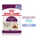 Royal Canin Sensory Feel en gelée