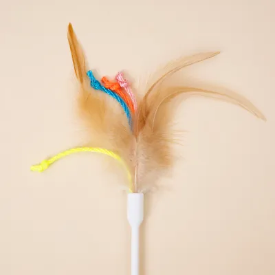 Speelhengel met beige veren en gekleurde koorden in geel, blauw, oranje en roze aan een witte stok. Speelhengel met beige veren en gekleurde koorden in geel, blauw, oranje en roze aan een witte stok.