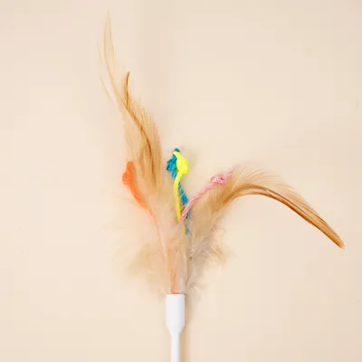 TIAKI Interaktives Fangspiel für Katzen