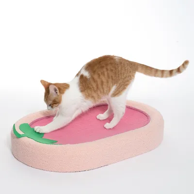 Grebalica za mačke u ružičastoj i zelenoj boji, s mačkom koja grebe. Prikazuje korištenje proizvoda za grebalicu.