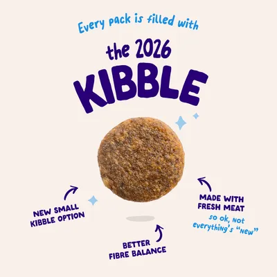 Edgard & Cooper Adult Zalm Graanvrij voor honden