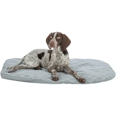 Chien allongé sur un grand coussin gris à motifs quadrillés, montrant la taille et l’utilisation du coussin pour animaux.