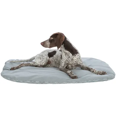 Chien allongé sur un coussin rectangulaire gris, surface lisse et bords légèrement matelassés, sans marque visible.