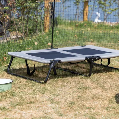 Erhöhtes graues Liegebett mit schwarzem Netzstoff und Metallrahmen, auf Gras im Freien platziert. Grüner Futternapf daneben sichtbar.