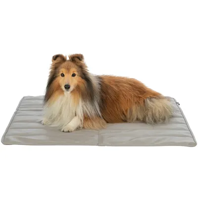 Hund liegt auf einer grauen Matte, Produkt zur Nutzung als Liegefläche sichtbar.