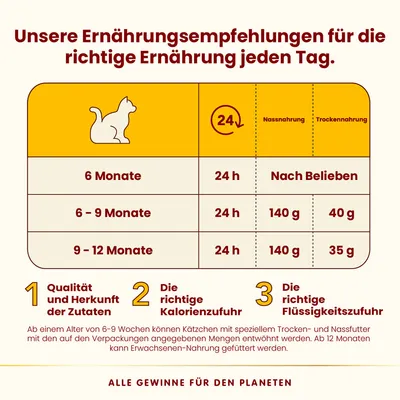 Ernährungsempfehlungen für Katzen: 6 Monate 24h, nach Belieben; 6-9 Monate 24h, 140g Nassfutter, 40g Trockenfutter; 9-12 Monate 24h, 140g Nassfutter, 35g Trockenfutter.