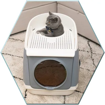 Katzentoilette mit grauem Gehäuse, weissem Deckel und Einstieg oben. Katze sitzt auf dem perforierten Deckel. Runde Tür an der Vorderseite sichtbar.