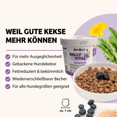 BUGBELL BELLY VITAL Keks mit Funktion. Gebackene Hundekekse, fettreduziert, bekömmlich, wiederverschließbarer Becher, für alle Hundegrößen geeignet, Stückgröße ca. 1 cm. BUGBELL BELLY VITAL Keks mit Funktion. Gebackene Hundekekse, fettreduziert, bekömmlich, wiederverschließbarer Becher, für alle Hundegrößen geeignet, Stückgröße ca. 1 cm.