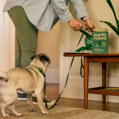 A person removes a green dog waste bag roll from the 'Earth Rated Poop Bags, unscented, 120 count' packaging while a dog stands next to them.