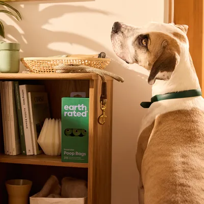 Hund neben Regal mit Earth Rated Lavendel-Kotbeuteln, 315 Stück. Hundeleine hängt am Regal.