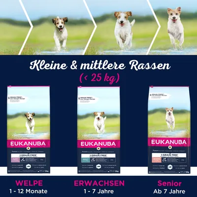 Croquettes Eukanuba pour chiens petites et moyennes races (<25 kg) : Puppy 1–12 mois, Adult 1–7 ans, Senior dès 7 ans. Trois sacs visibles avec photos de chien courant.