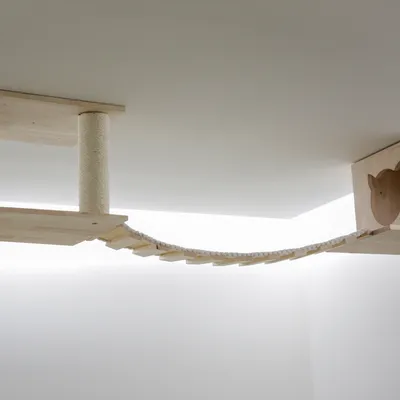 Pont suspendu en bois clair fixé au mur, avec poteau recouvert de corde et plateforme à silhouette de tête de chat visible à droite.