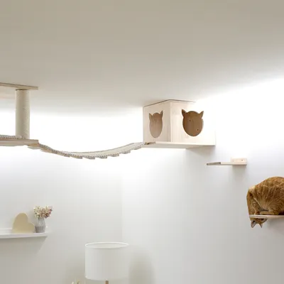 Arbre à chat mural en bois clair avec cube, griffoir, pont suspendu et plateformes. Un chat roux est assis sur une étagère murale.