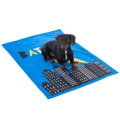Dog sitting on a blue blanket with city motif and yellow lightning bolt, text 'BAT' visible.