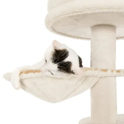 Kat ligt in een beige hangmat aan een krabpaal van pluche stof. Alleen het bovenlichaam van de kat en een deel van de krabpaal zijn zichtbaar.