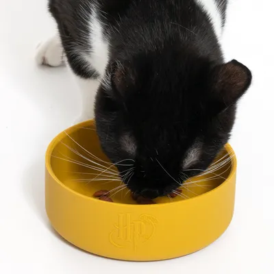 Gatto bianco e nero mangia da una ciotola gialla con logo in rilievo 'HP'.