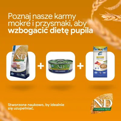 N&D Ancestral Grain karma sucha, N&D Prime Lamb & Blueberry karma mokra oraz N&D Adult Cream przekąska. Uzupełnij żywienie swojego pupila tymi produktami.