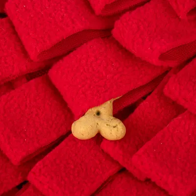Giocattolo rosso in tessuto con biscotto a forma di cuore nascosto, adatto per giochi di ricerca e fiuto.