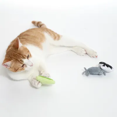 Chat roux et blanc allongé avec trois jouets en peluche : un macaron vert, un crabe gris et une souris blanche et noire visibles sur fond blanc.