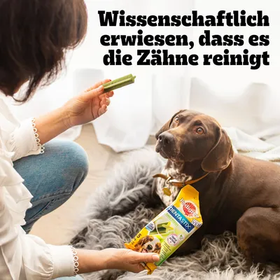 Pedigree Dentastix Verpackung, wissenschaftlich erwiesen zur Zahnreinigung. Frau hält grünen Dentastix vor Hund.