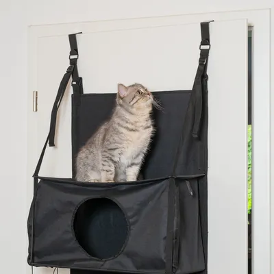 Zooplus Basics Nicchia con tiragraffi per gatti per porte